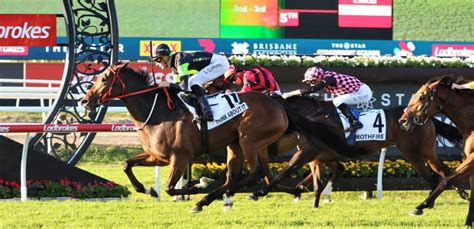 Stradbroke Handicap 2023 Field & Betting .